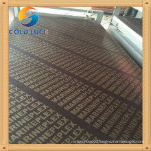 Film Faced Plywood/Marine Plywood /Concrete Formwork Shuttering Plywood